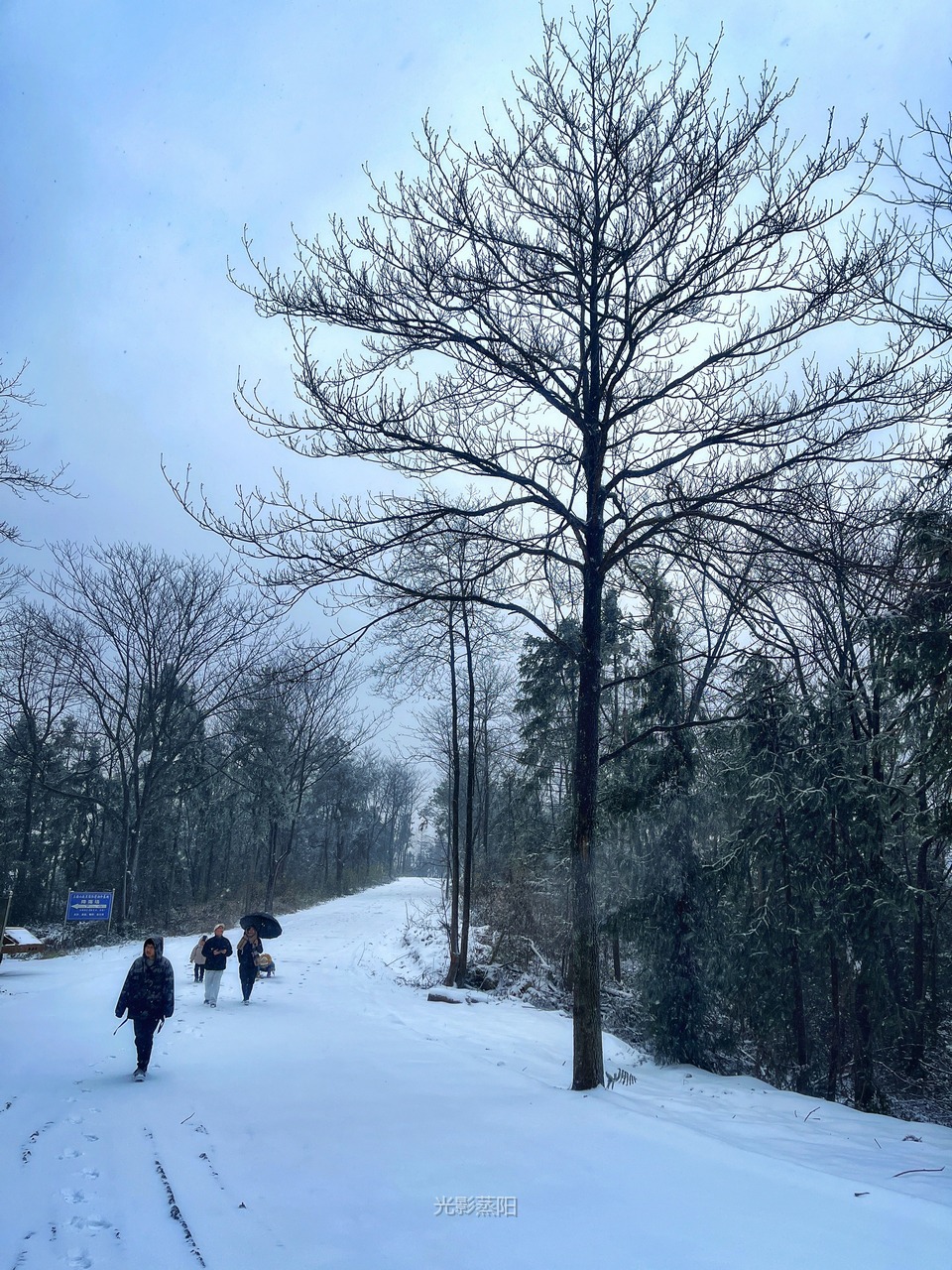 黄龙山雪景