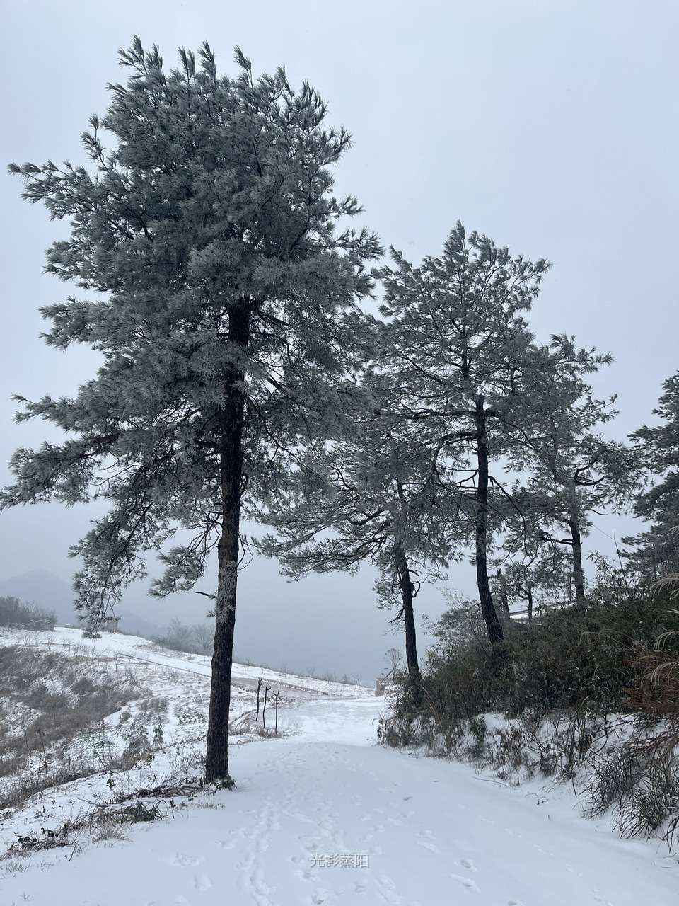 黄龙山雪景