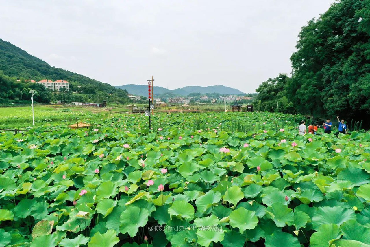 湘西草堂 (2+1)