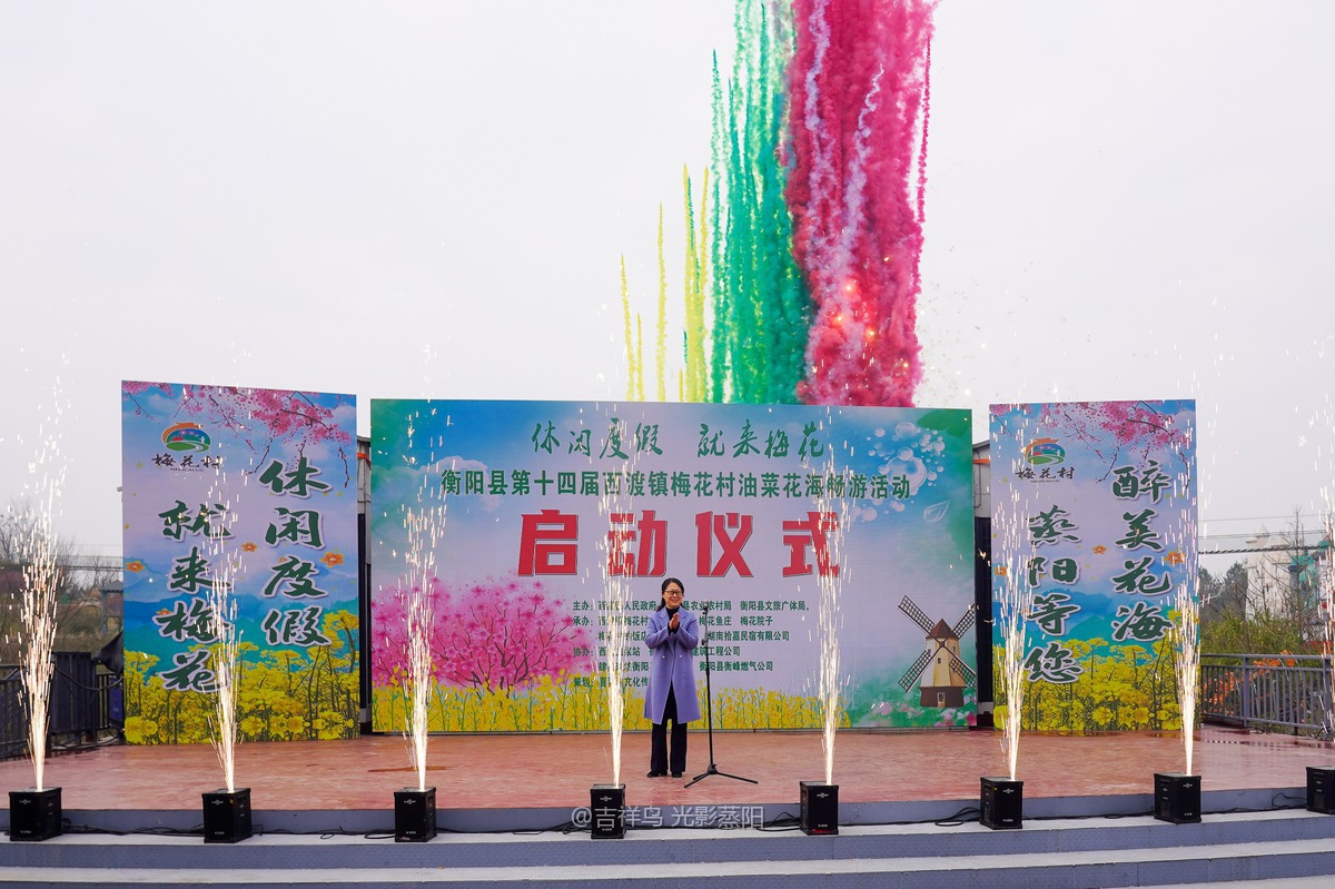 梅花村 (0+1)
