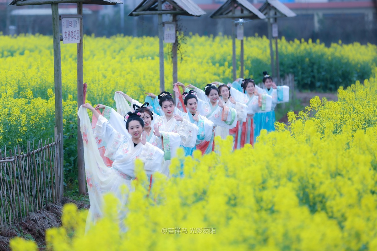 梅花村 (1+1)