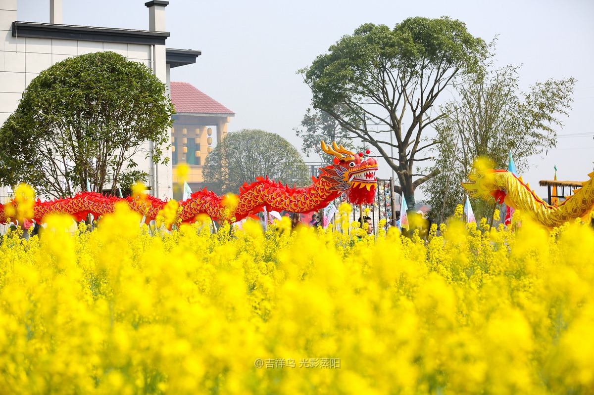 梅花村 (2+1)