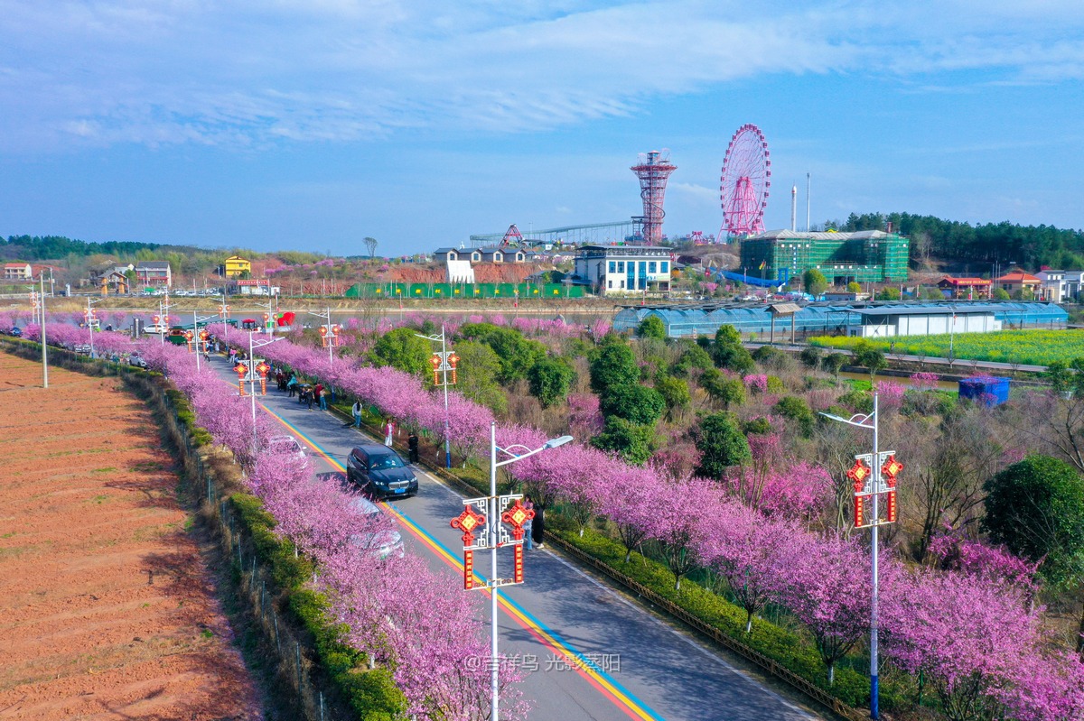 梅花村 (12+1)