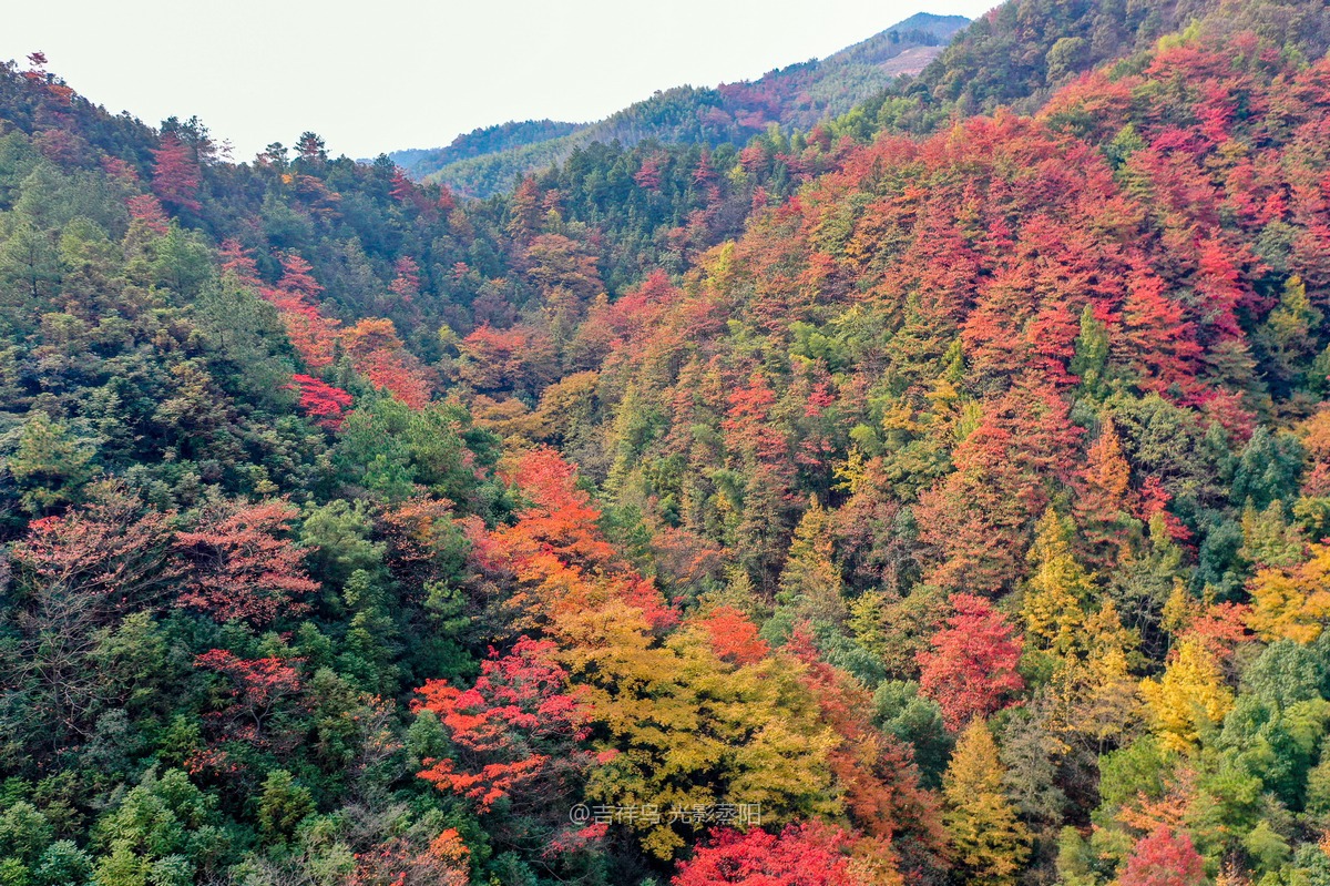 岘山晓晖岭红叶 (4+1)