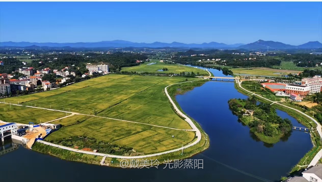 洪市镇（蒸水河） (0+1)