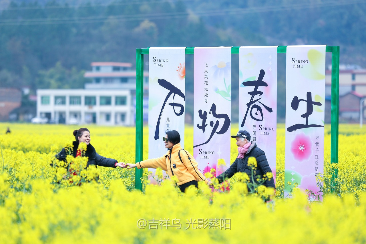 库宗桥华山村油菜花海 (0+1)