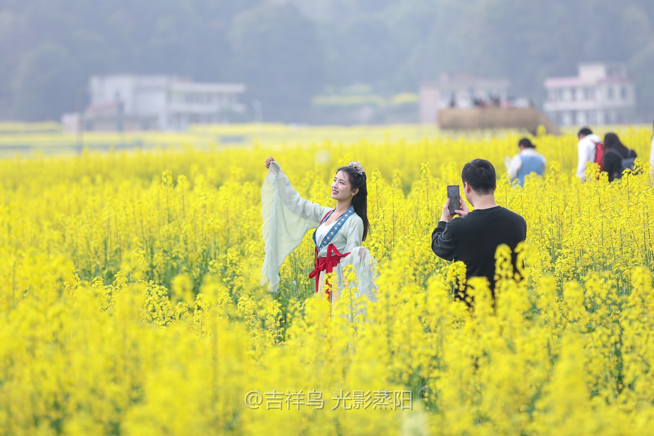 库宗桥华山村油菜花海 (2+1)