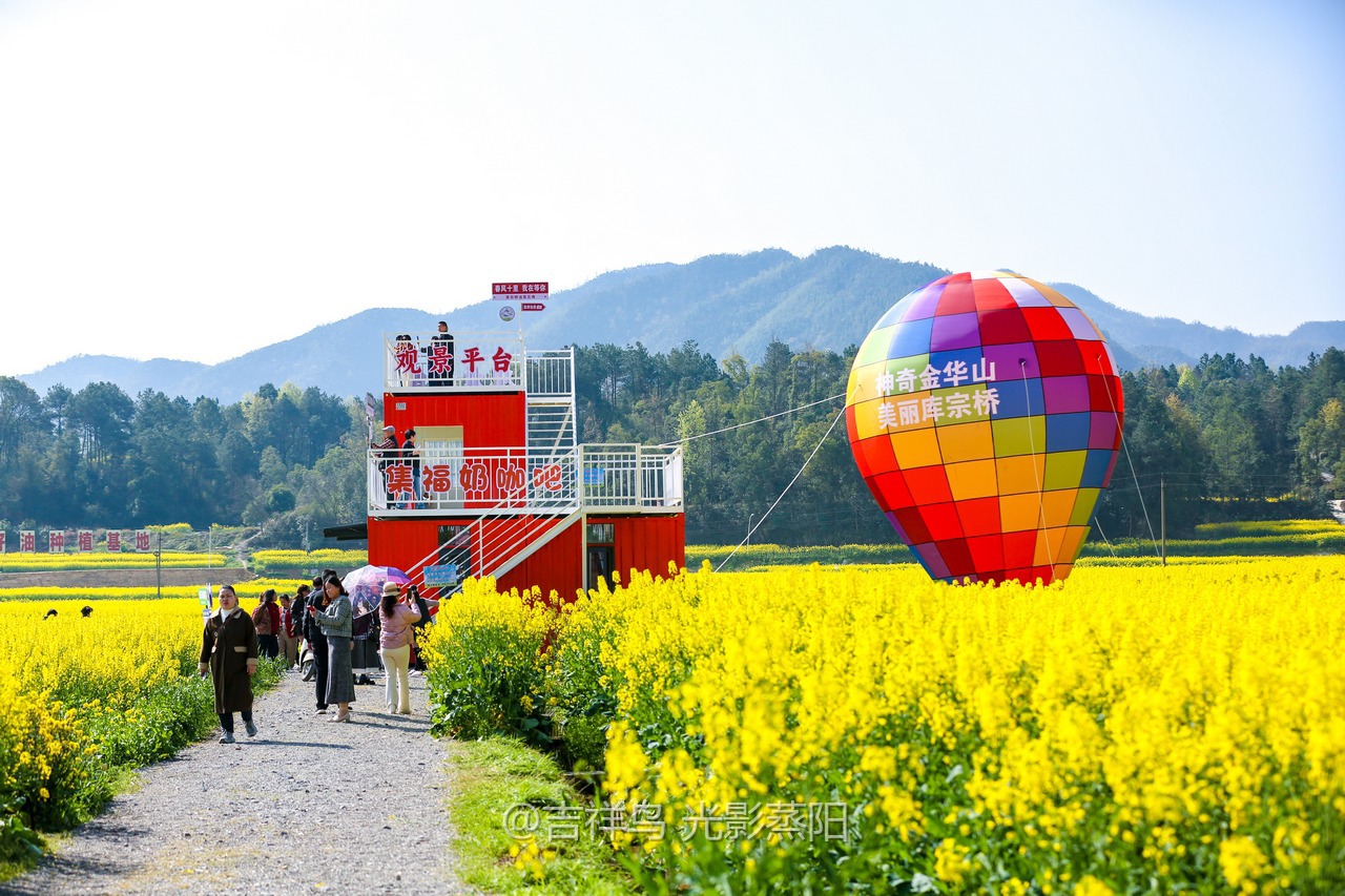 库宗桥华山村油菜花海 (4+1)