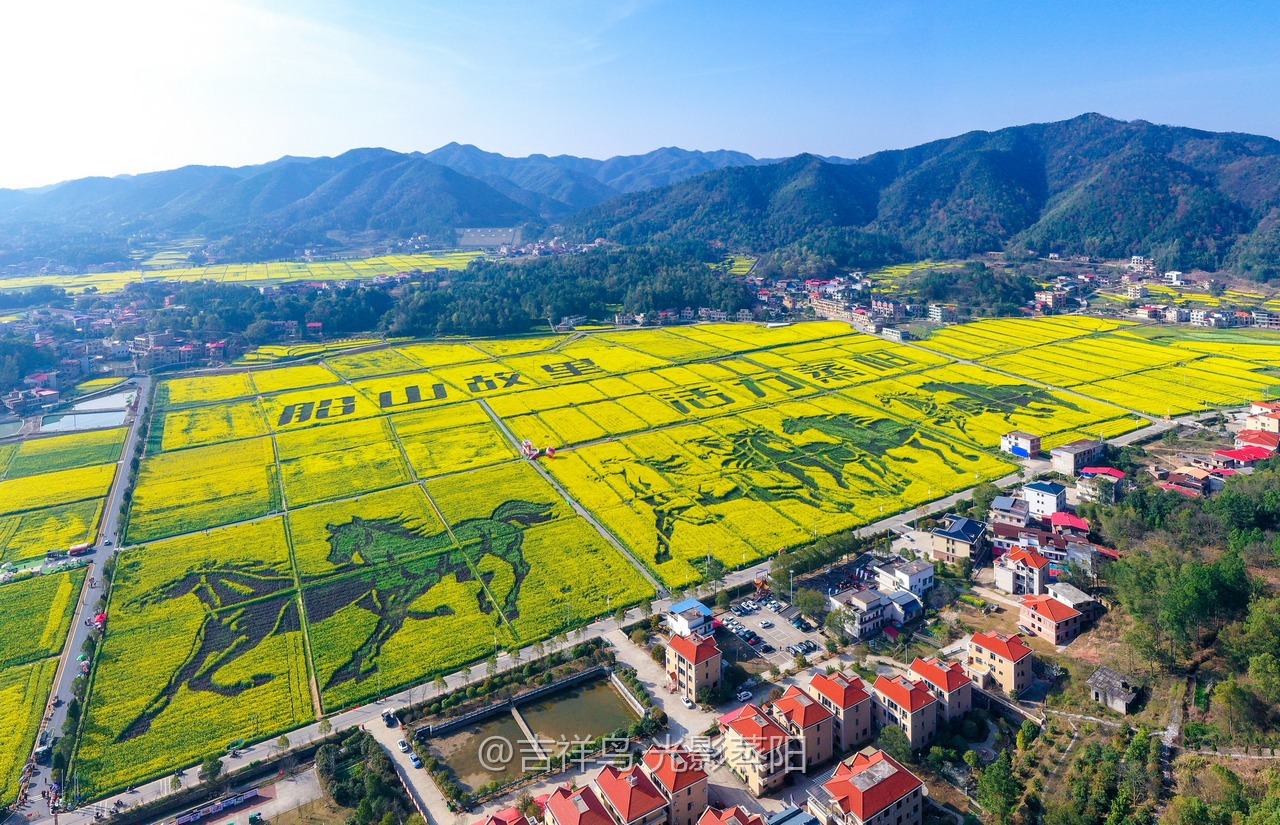 库宗桥华山村油菜花海 (3+1)