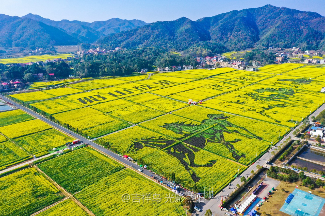 库宗桥华山村油菜花海 (6+1)