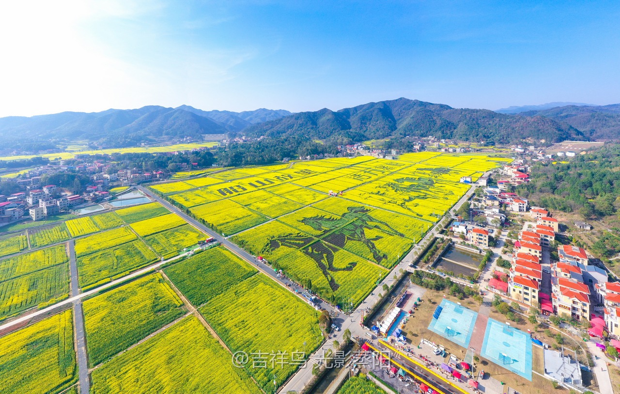 库宗桥华山村油菜花海 (7+1)