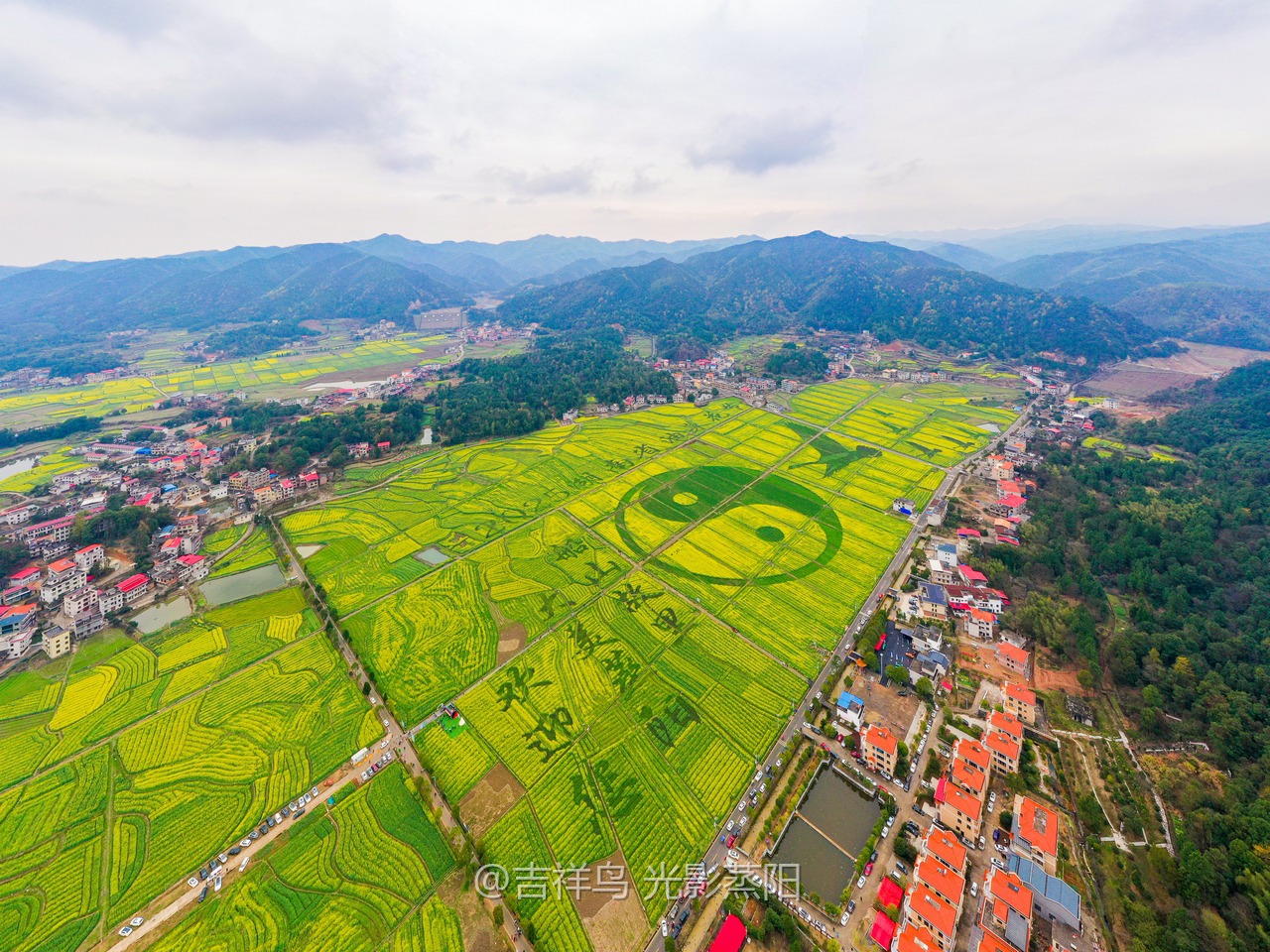 库宗桥华山村油菜花海 (10+1)
