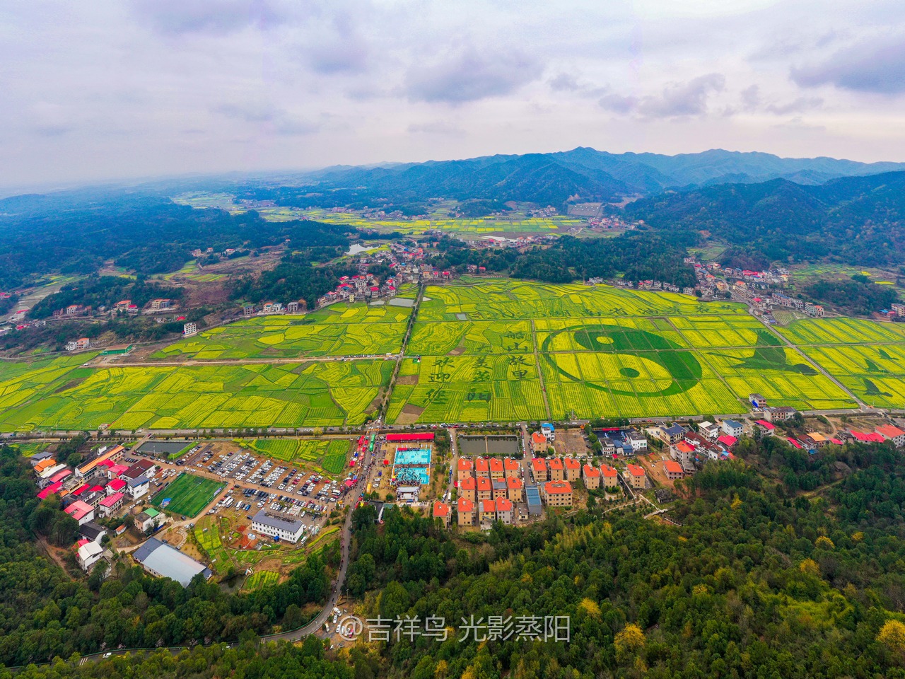 库宗桥华山村油菜花海 (9+1)
