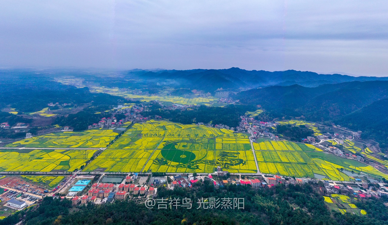 库宗桥华山村油菜花海 (11+1)