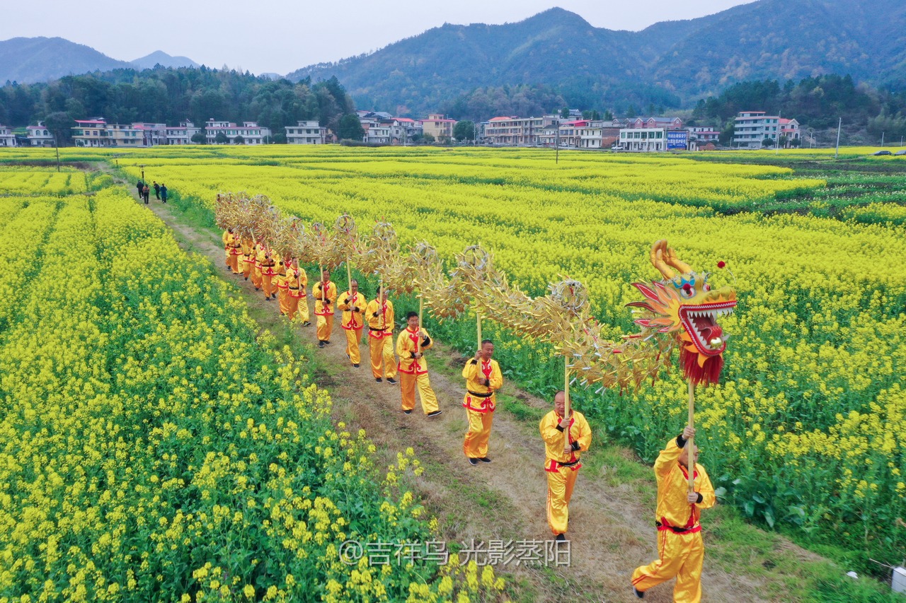 库宗桥华山村油菜花海 (0+1)