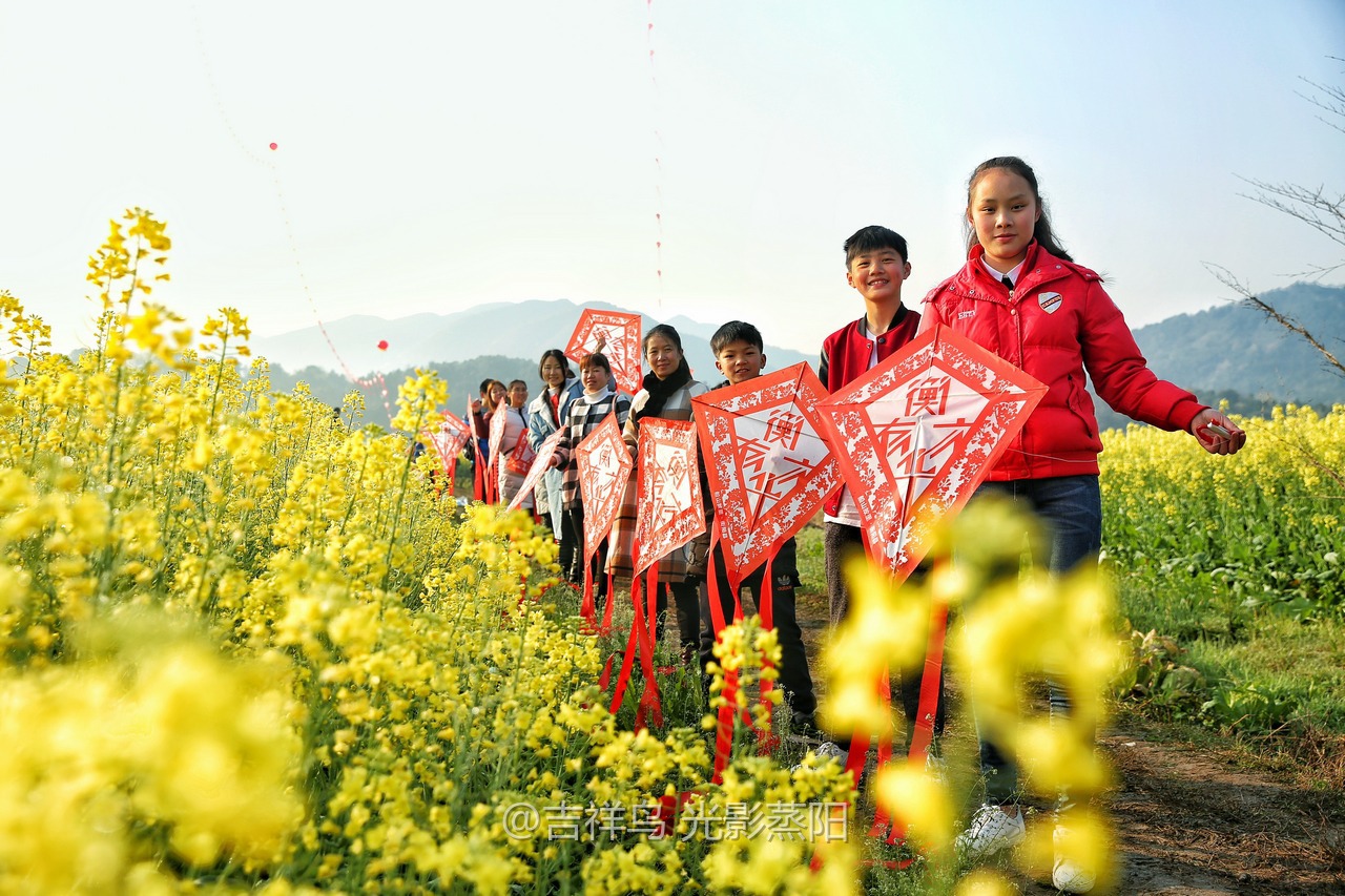 库宗桥华山村油菜花海 (5+1)