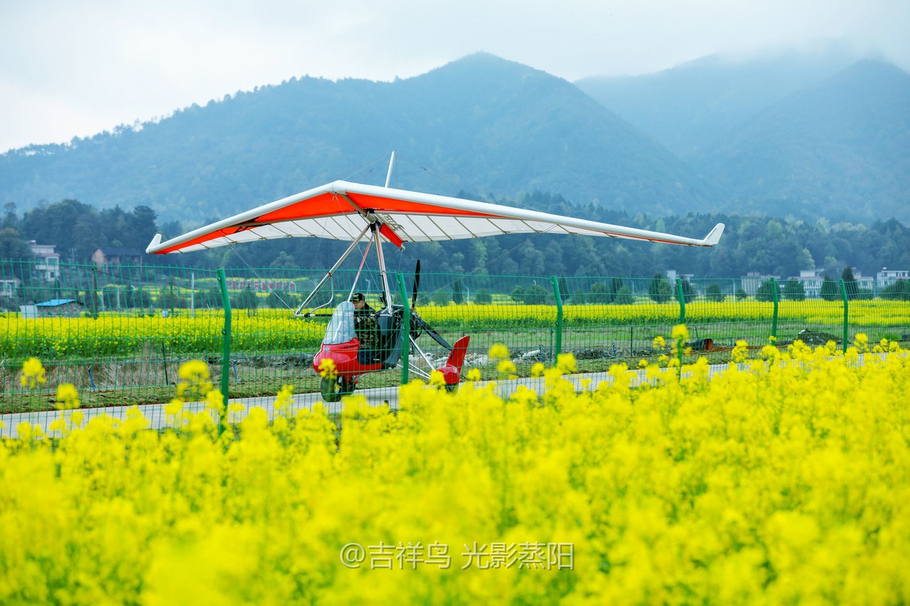 库宗桥华山村油菜花海 (3+1)