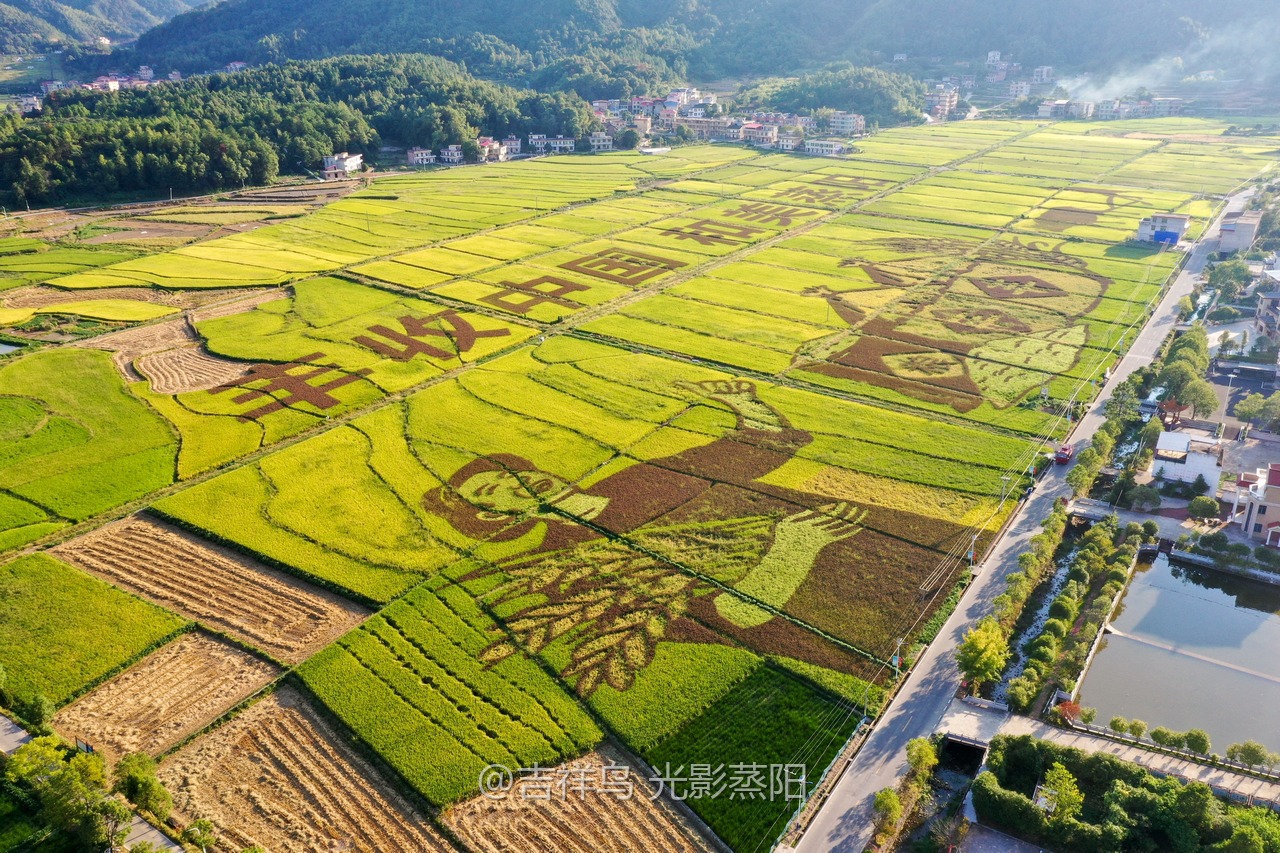 丰收节 (0+1)