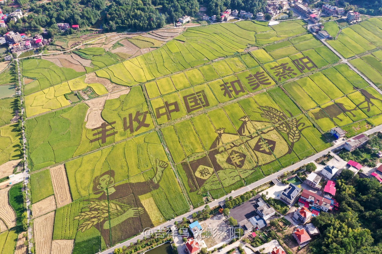 丰收节 (1+1)