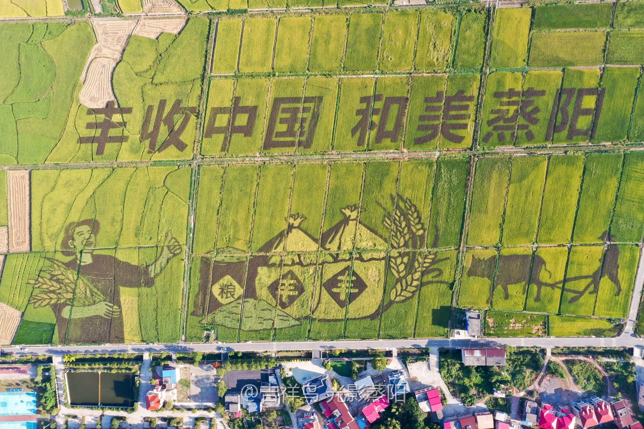 丰收节 (6+1)
