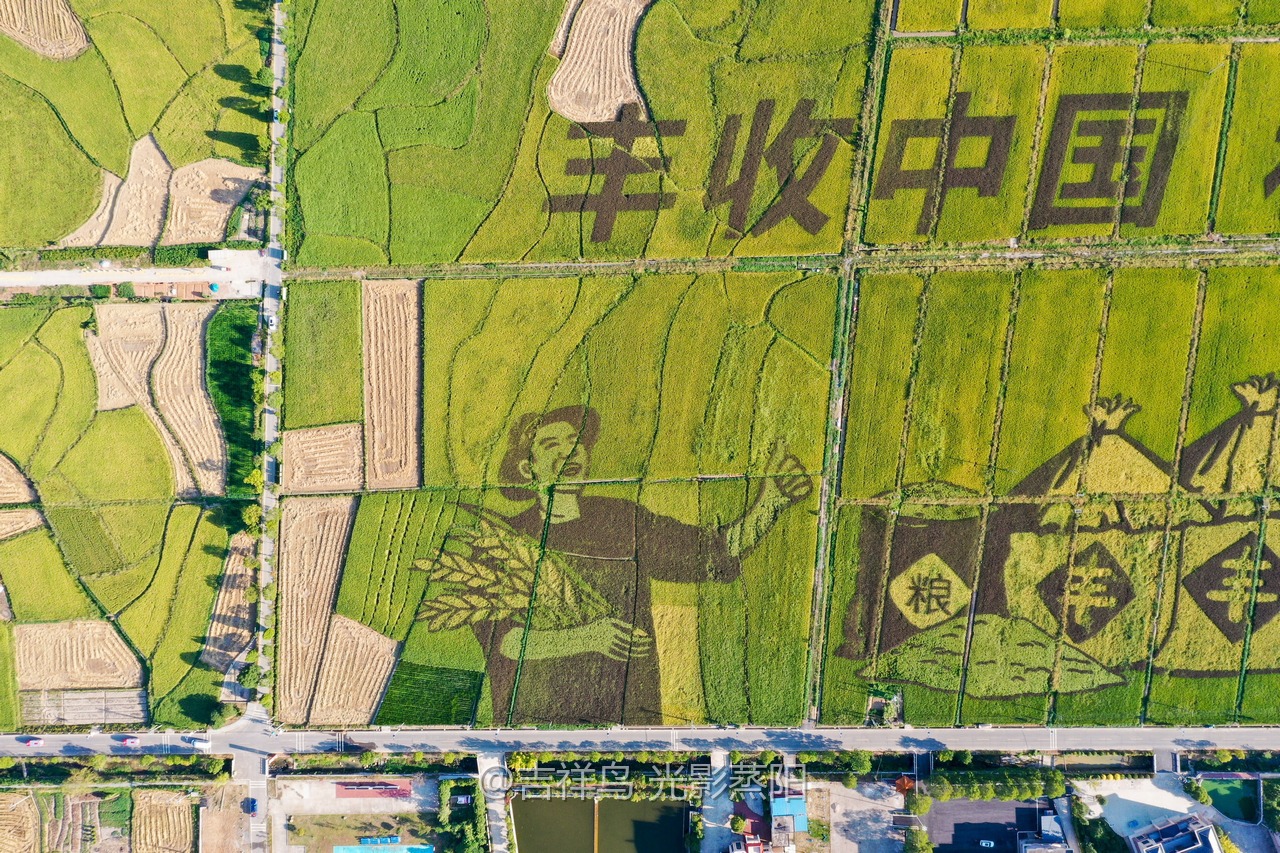 丰收节 (5+1)