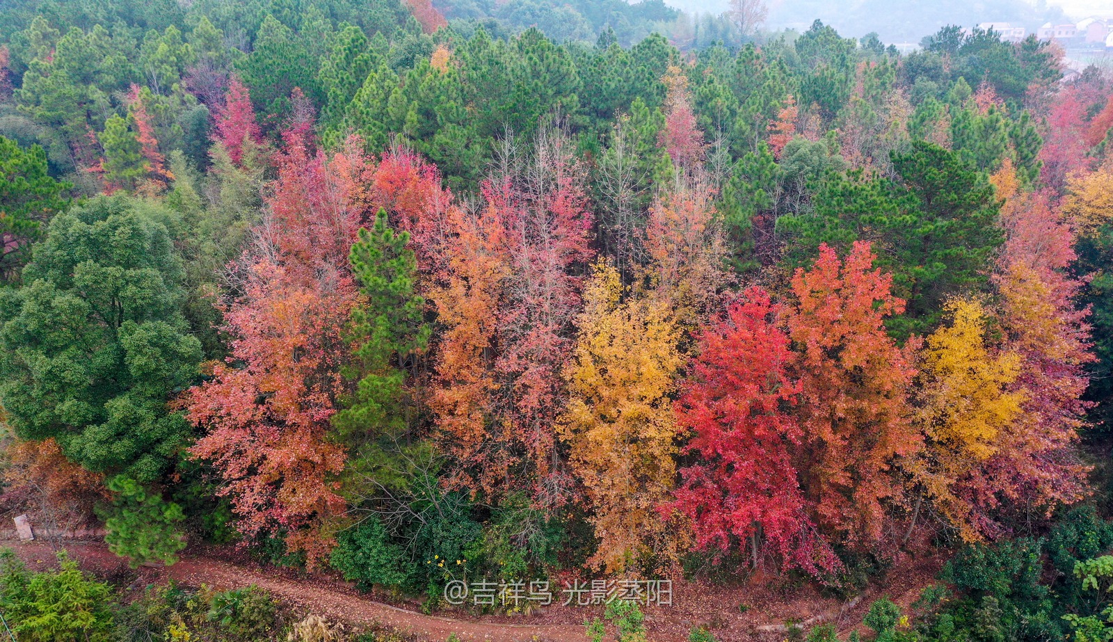 更荣村风景 (3+1)