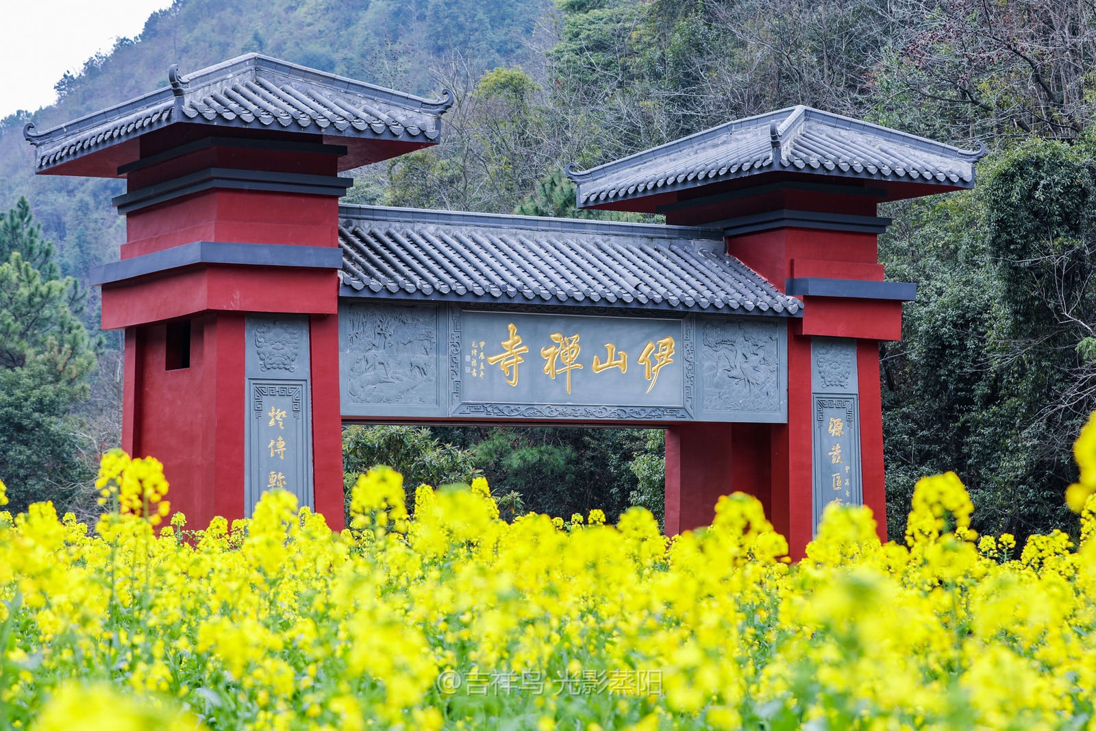 伊山寺 (0+1)