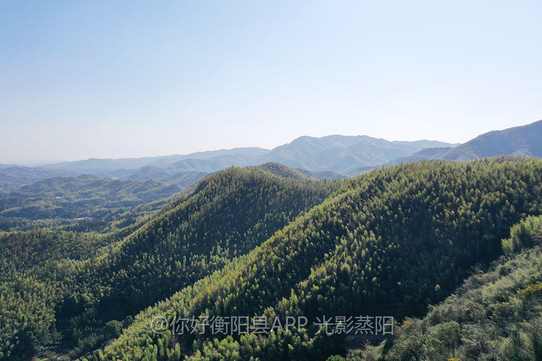 金溪镇：竹风水韵，毓秀金溪 (11+1)