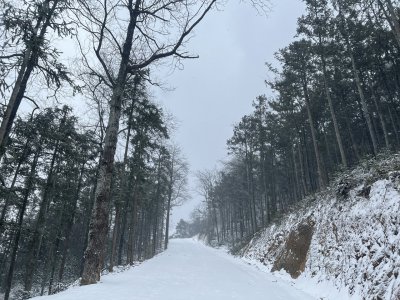 黄龙山雪景