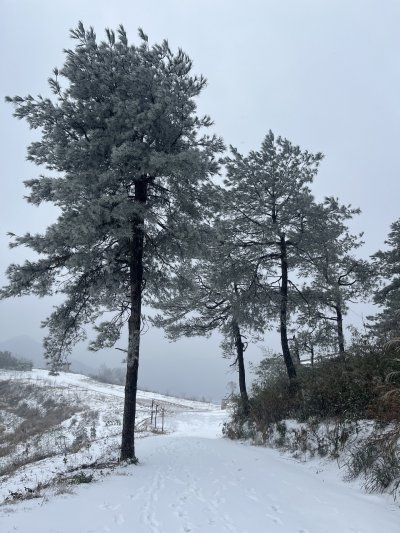 黄龙山雪景