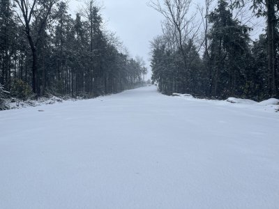黄龙山雪景 (1)