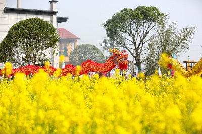 梅花村 (2+1)