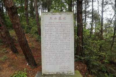 文德纪念 (2+1)