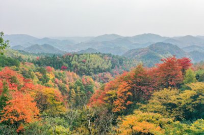 岘山晓晖岭红叶 (0+1)