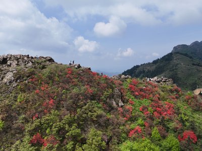 大云山 (1+1)