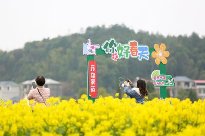 库宗桥华山村油菜花海 (1+1)