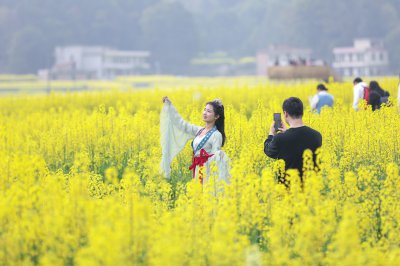 库宗桥华山村油菜花海 (2+1)