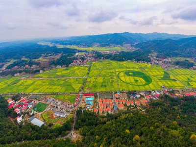 库宗桥华山村油菜花海 (9+1)