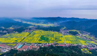 库宗桥华山村油菜花海 (11+1)