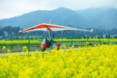 库宗桥华山村油菜花海 (3+1)