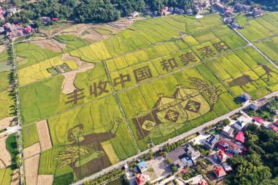 丰收节 (1+1)
