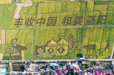 丰收节 (6+1)