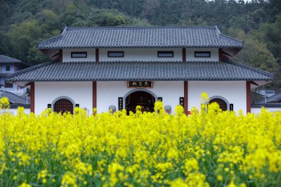 伊山寺 (1+1)