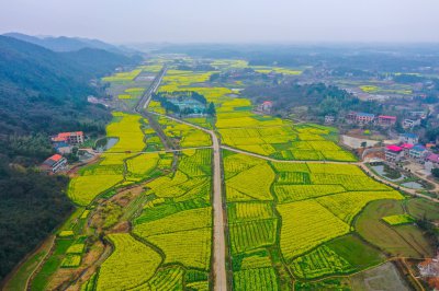 白石园 (1+1)