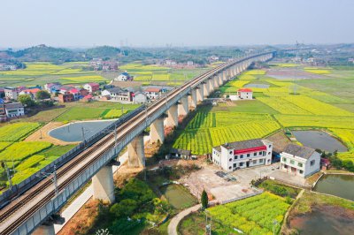 杉桥镇上的高铁 (1+1)
