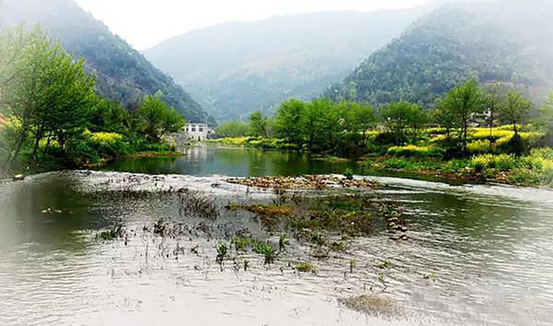 大安乡：邹岗山上去探秘，荸荠油茶名自远 (3+1)
