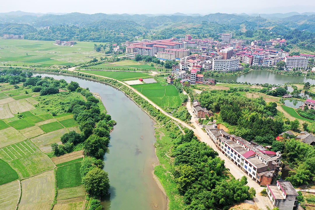 大安乡：邹岗山上去探秘，荸荠油茶名自远 (2+1)