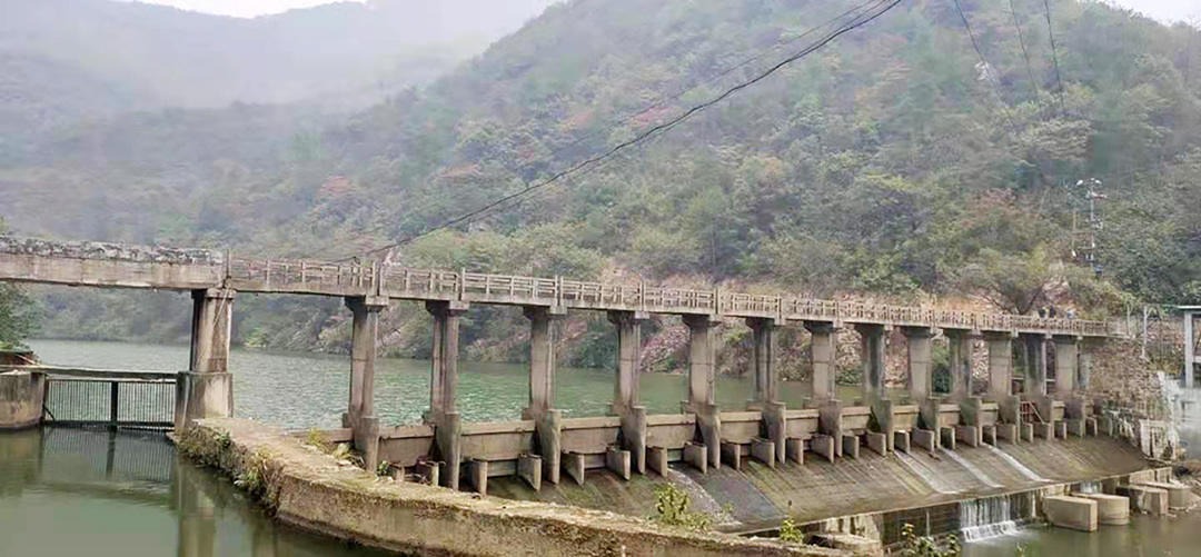 大安乡：邹岗山上去探秘，荸荠油茶名自远 (8+1)