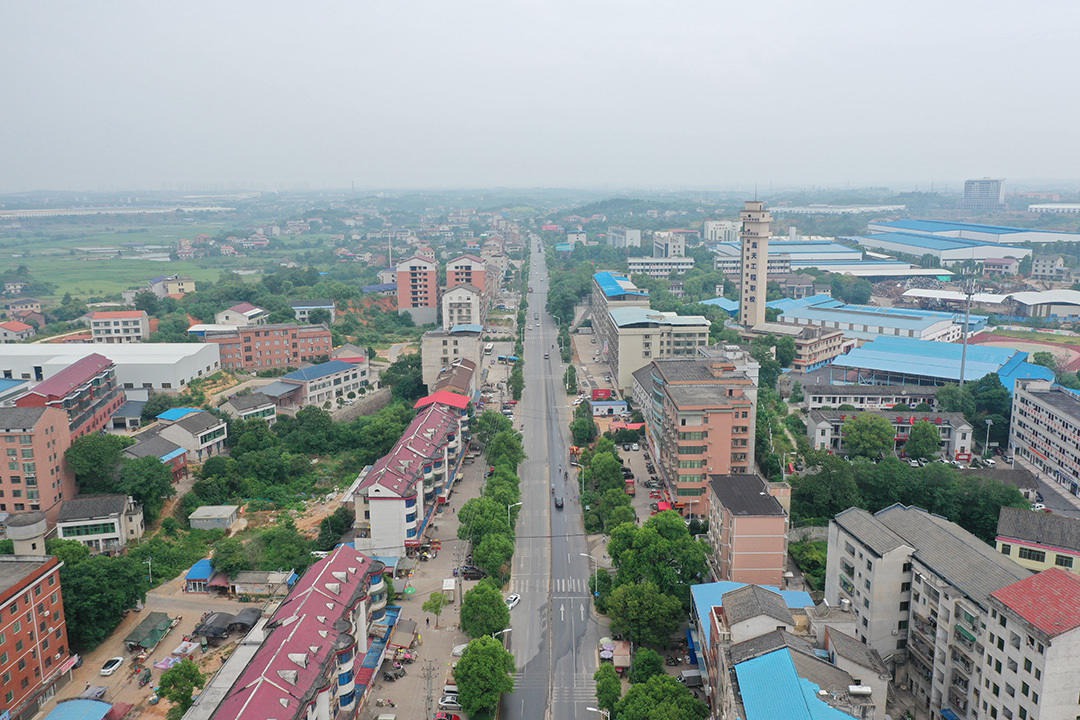 樟树乡：樟树新区，美丽新城 (3+1)