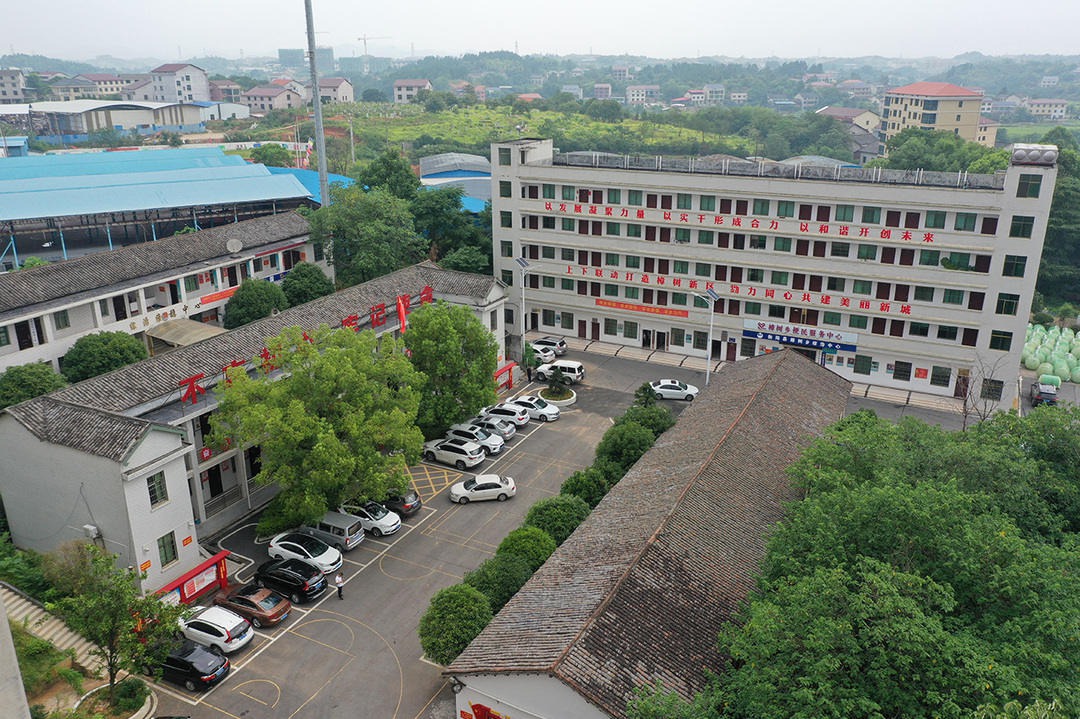 樟树乡：樟树新区，美丽新城 (9+1)